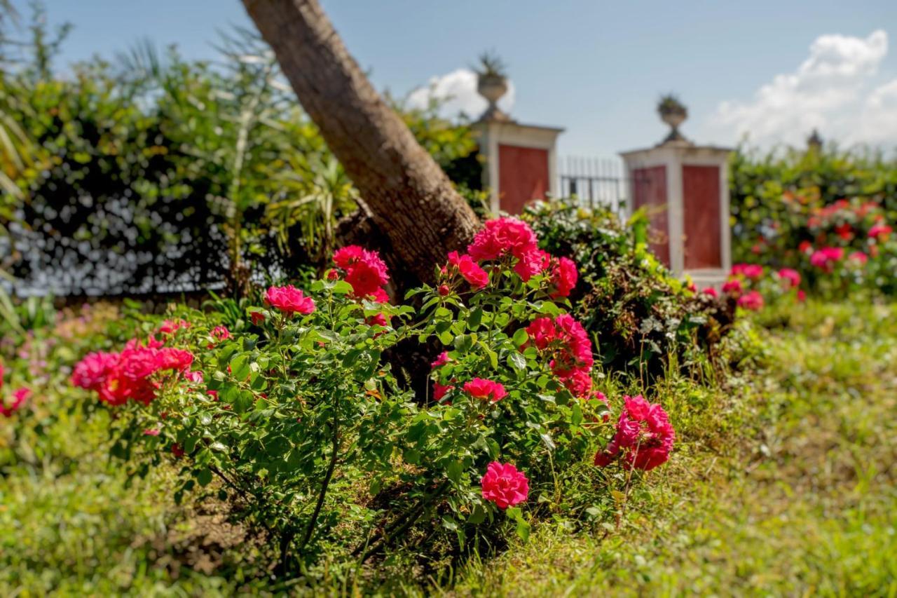 Relais Al Castello Bed and Breakfast Castellammare di Stabia Exteriör bild